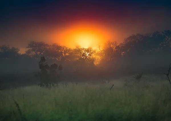 Le soleil levant sur le parc national Hlane-Royal, Swaziland — Photo