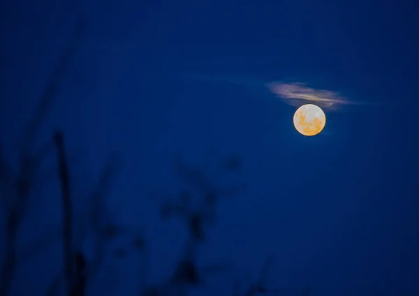 보름달 스와질란드에서 Hlane-로얄 국립 공원을 통해 — 스톡 사진