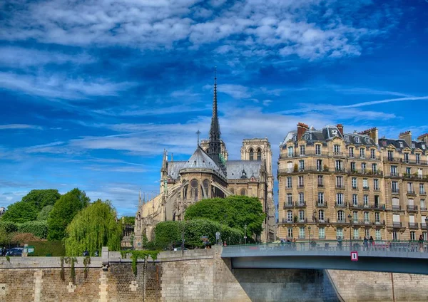 Vue arrière de la Cathédrale Notre Dame et de la Seine à l'Ile — Photo