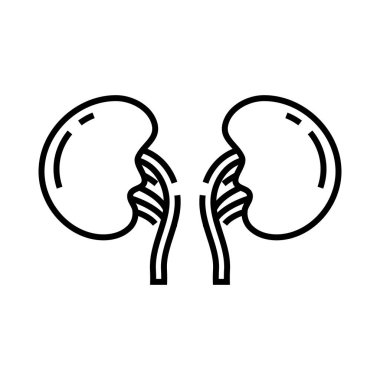 Body organ line icon, concept sign, outline vector illustration, linear symbol.