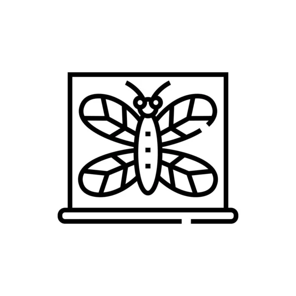 Bug onderzoek lijn icoon, concept teken, schets vector illustratie, lineair symbool. — Stockvector