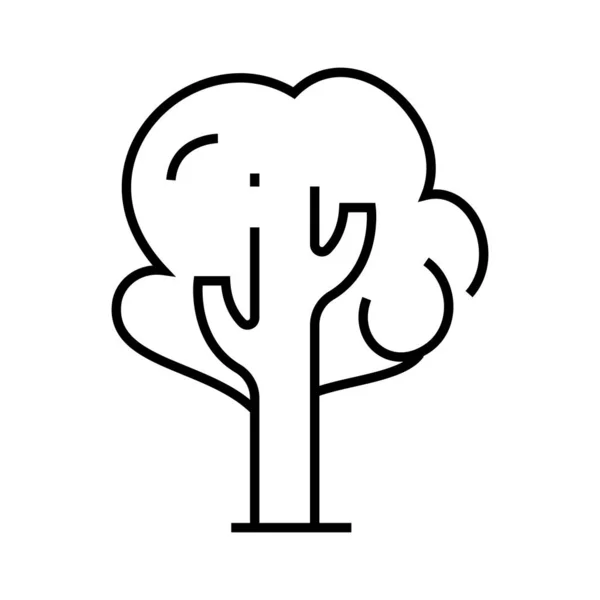 Breda blad träd linje ikon, begrepp illustration, kontur symbol, tecken, linjär symbol. — Stock vektor