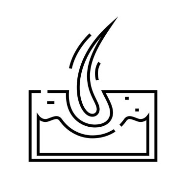 Saç kökü çizgisi simgesi, konsept işareti, ana hatlı vektör çizimi, doğrusal sembol.