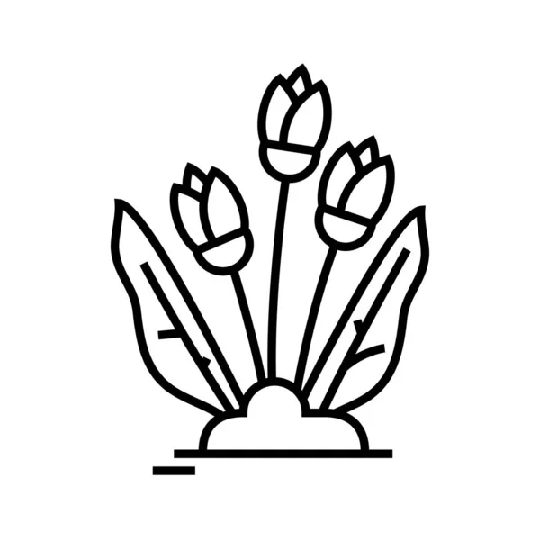Rosnące kwiaty linii ikona, znak koncepcyjny, zarys wektor ilustracja, symbol liniowy. — Wektor stockowy