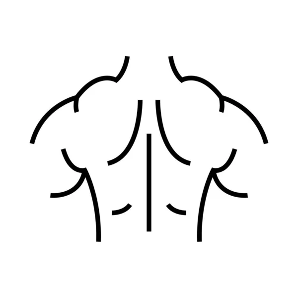 Ícone de linha traseira muscular, signo conceitual, ilustração vetorial de contorno, símbolo linear . — Vetor de Stock