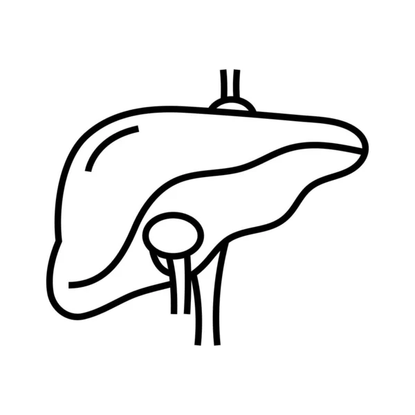 Ícone de linha de doença hepática, signo conceitual, ilustração vetorial de contorno, símbolo linear . — Vetor de Stock