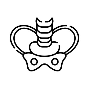 Pelvik kemik çizgisi simgesi, kavram işareti, taslak vektör çizimi, doğrusal sembol.