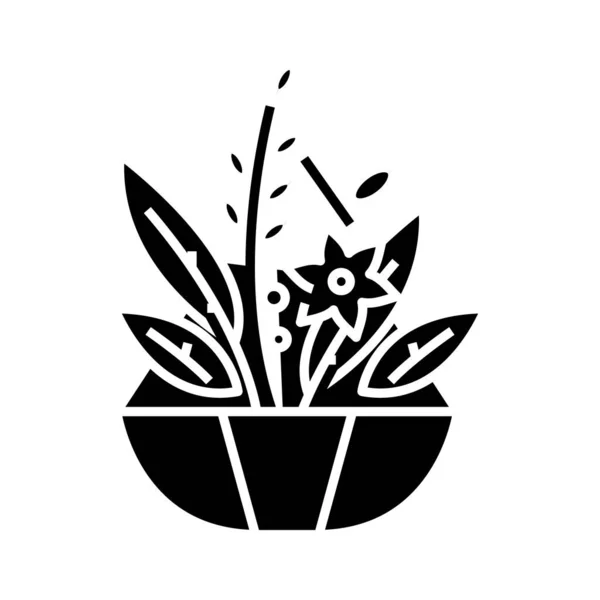 Zioła ogrodowe czarna ikona, ilustracja koncepcyjna, wektor płaski symbol, znak glifa. — Wektor stockowy