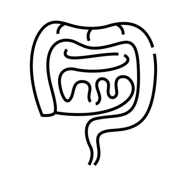Icono de la línea del tracto intestinal, signo conceptual, ilustración del vector del contorno, símbolo lineal . — Vector de stock