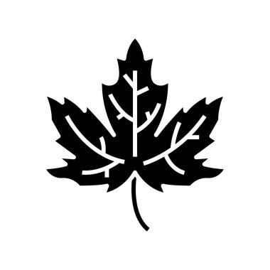 Maple leaf black icon, concept illustration, vector flat symbol, glyph sign.