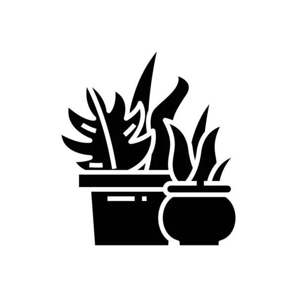 Room plants black icon, concept illustration, vector flat symbol, glyph sign. — Stock Vector