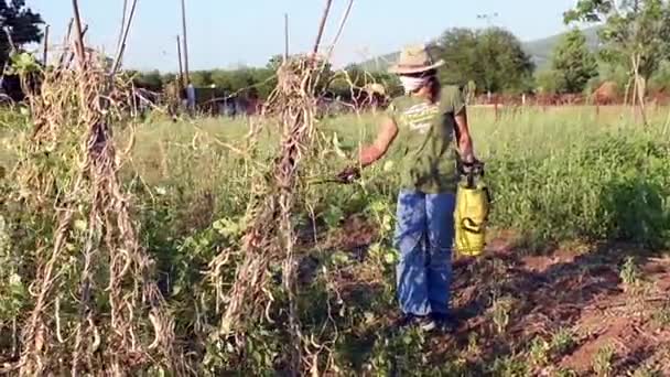 Young girl sprays plants — Stock Video