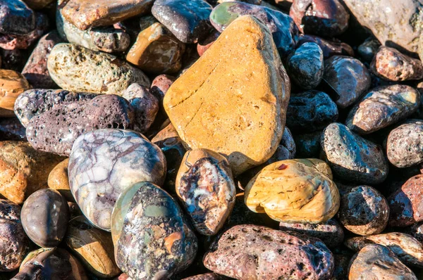 Steentjes in de oever — Stockfoto