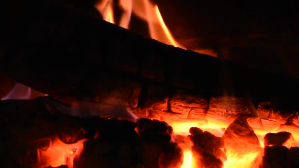 Bois Brûlent Intérieur Une Cheminée — Video