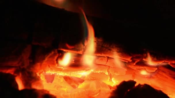 Woods Burning Fireplace — Stock Video