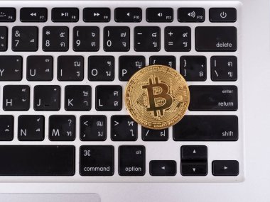 Dizüstü Bitcoin-nakit dijital cryptocurrency