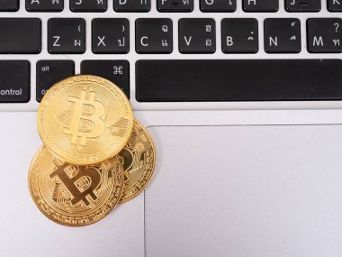 Dizüstü Bitcoin-nakit dijital cryptocurrency