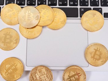 Dizüstü Bitcoin-nakit dijital cryptocurrency