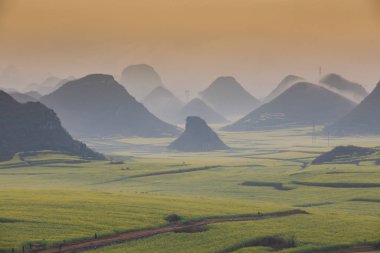 Sarı kolza tohumu çiçek alanıyla sisin içinde Luoping, Çin