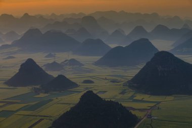 Luoping, Çin 'deki sarı kolza tohumu tarlası.