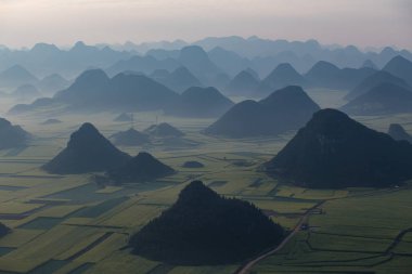 Luoping, Çin 'deki sarı kolza tohumu tarlası.