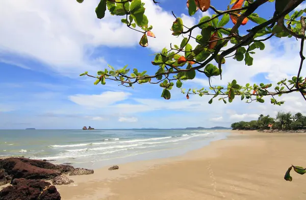 Strand Und Wunderschönes Tropisches Meer — Stockfoto