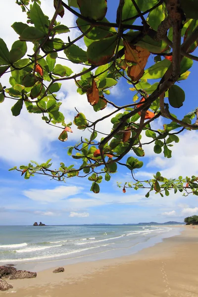 Beach Beautiful Tropical Sea — Stock Photo, Image