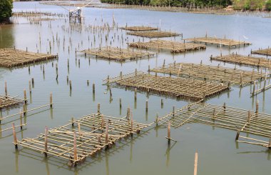 Chanthaburi, Tayland kıyı bölgelerinde Coop.