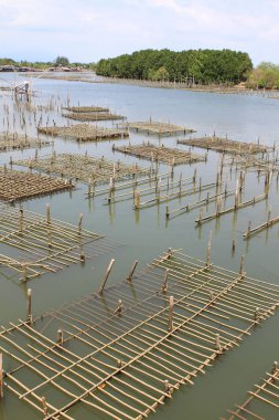 Chanthaburi, Tayland kıyı bölgelerinde Coop.