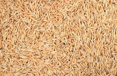 kahverengi pirinç arka plan dokusu