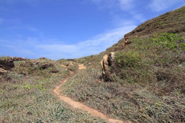 Tarlalar ve ormanlar. Peyzaj