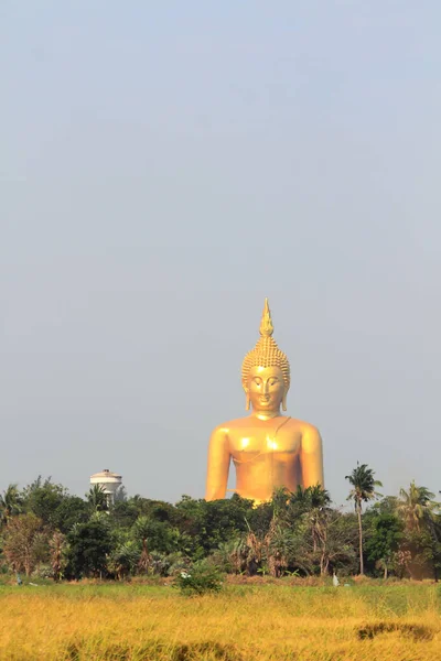 Estátua de Buda, Wat muang na Tailândia — Fotografia de Stock