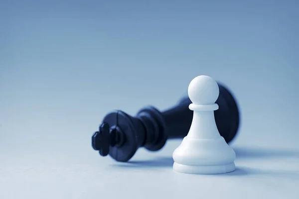 Pionek szachowy biały i czarny król — Zdjęcie stockowe