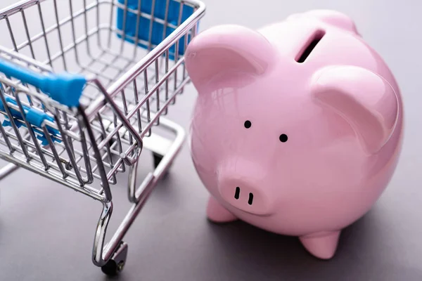 Close-up of piggy bank and an empty shopping cart — Stock Photo, Image