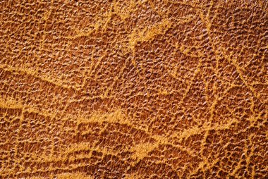 Deri arka plan doku ile