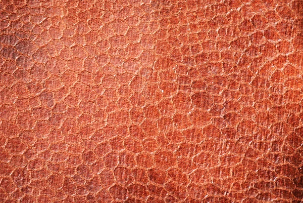 Fondo abstracto de cuero con textura —  Fotos de Stock