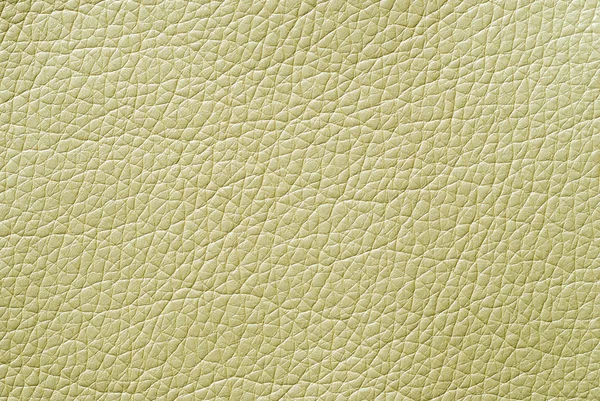 Leather abstract background with texture — Stock Photo, Image