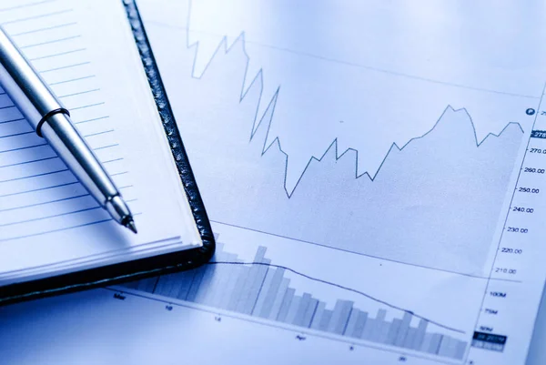 Öppen Tidskrift Med Företagsdiagram Och Penna Ett Företagsredovisnings Eller Statistiskt — Stockfoto