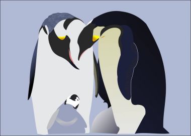 Orada küçük bir dikkat çekici penguen