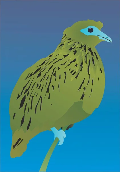 Green Blue Fruit Dove — Stock Photo, Image