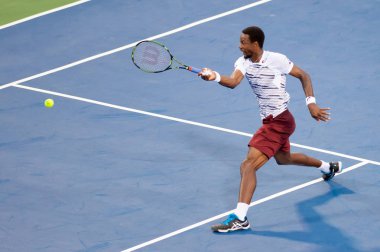 tennis player Gael Monfils