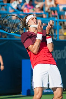 tenis oyuncusu Alexander Zverev
