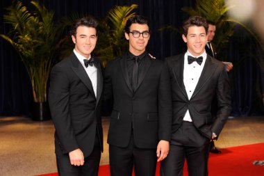 music band Jonas Brothers