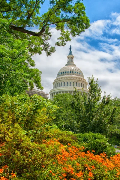 Capitolio de Estados Unidos en primavera — Foto de Stock