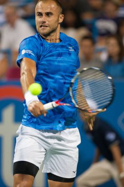 Profesyonel Tenis Oyuncusu Marius Copil