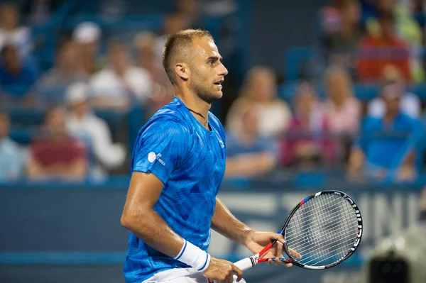 Profesyonel Tenis Oyuncusu Marius Copil