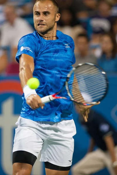 Profesyonel Tenis Oyuncusu Marius Copil