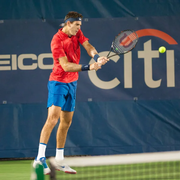 Jogador de tênis profissional Juan Martin del Potro — Fotografia de Stock