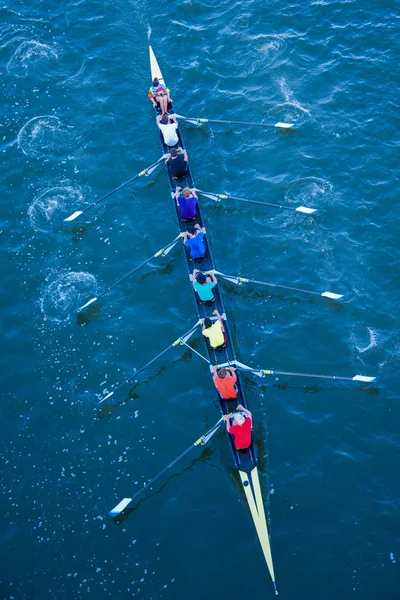 Rowers gökkuşağı renkleri