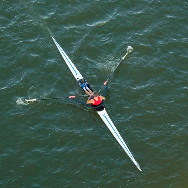 Sculler σε μια ρεγκάτα — Φωτογραφία Αρχείου